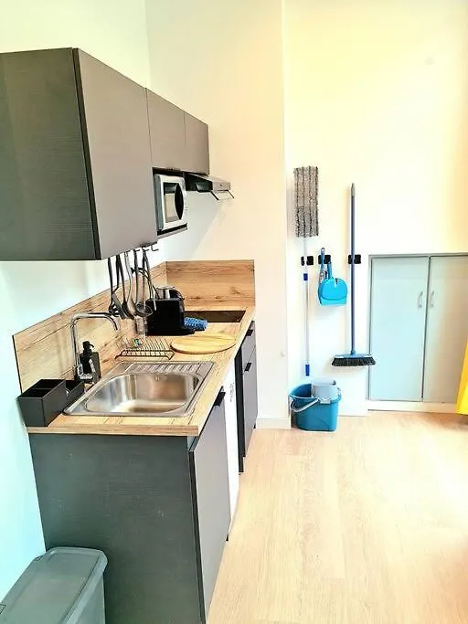 Apartment Le Cosy Central Moderne Et Chaleureux Saint-Etienne  France